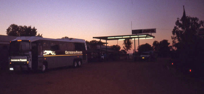 Greyhound Pioneer Landseer at the BP Roadhouse